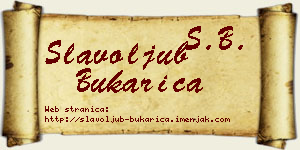 Slavoljub Bukarica vizit kartica